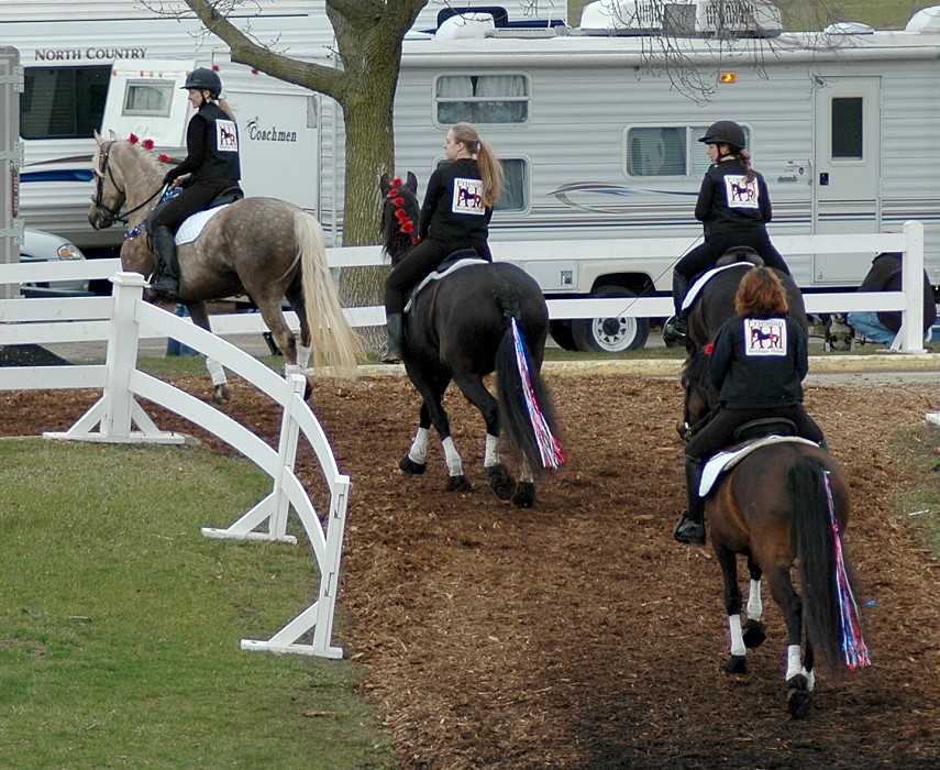 Midwest Horse Fair 2013